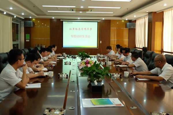 Mingzhu Party branch organizes party members to hold a special organization life meeting for the special struggle of "eradicating black and evil"